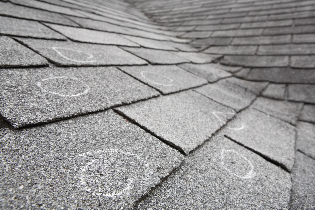 Inspecting and maintaining your roof is key to preventing moisture and pest damage to your home.