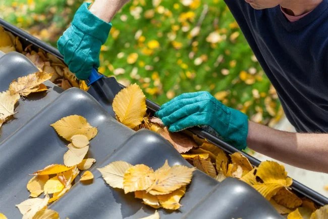 Routine cleaning and inspections keep gutters functioning optimally.
