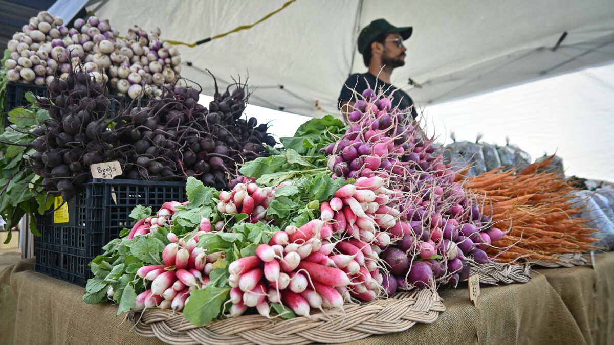 Discover the many farmers markets scattered across Kansas City, each offering a unique variety of fresh produce and local goods.