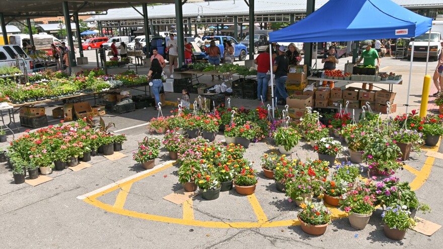 Experience the vibrant atmosphere at the City Market Farmers Market, a staple in Kansas City's local food scene.