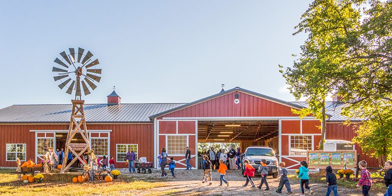Local pumpkin patch with pumpkins and activities—find hayrides, corn mazes, and more.