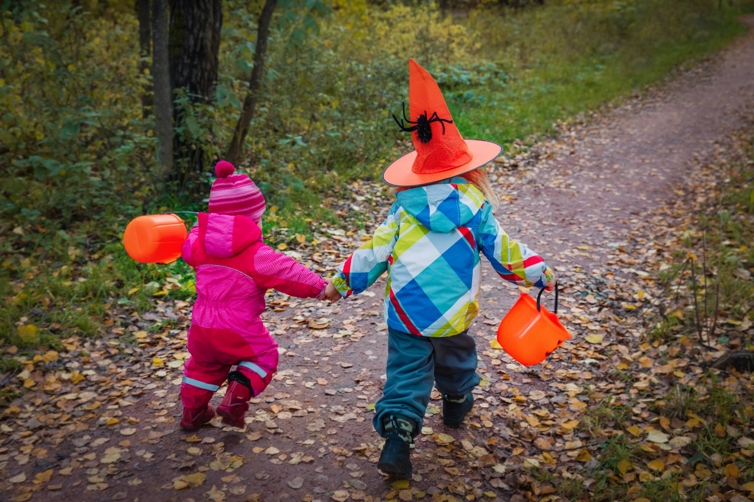 Homeowners and drivers: light pathways, secure pets, and slow down to protect pedestrians.