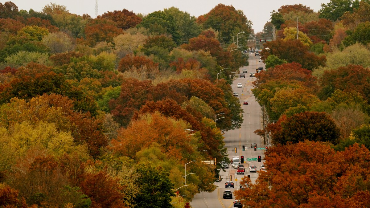 A guide to Kansas City's best fall festivals and autumn events, perfect for planning seasonal outings.